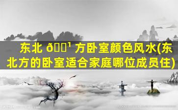东北 🌹 方卧室颜色风水(东北方的卧室适合家庭哪位成员住)